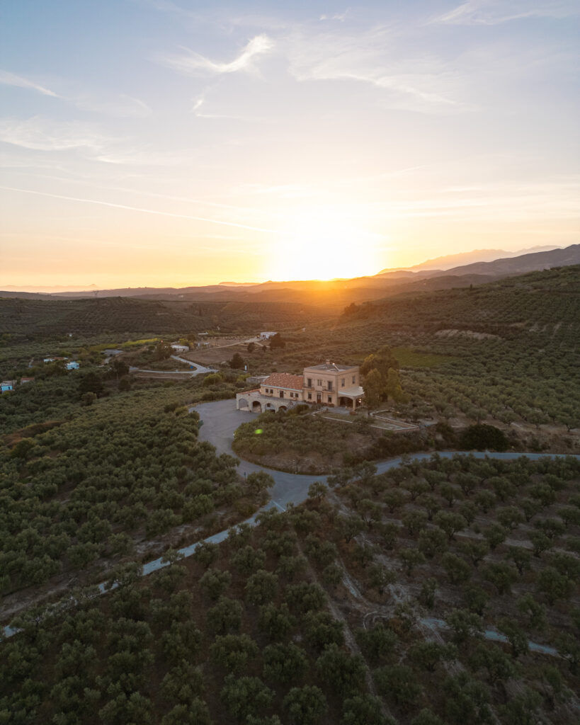 DJI_0080-819x1024.jpg
