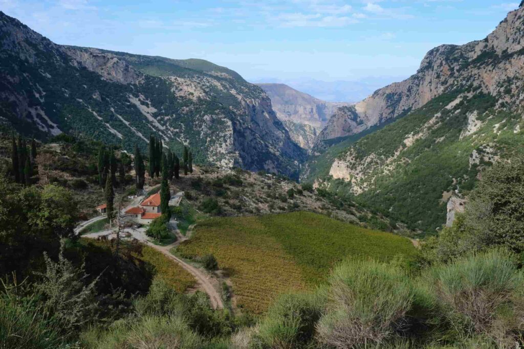 The wines of Achaia