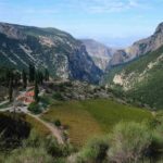 The wines of Achaia