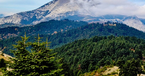 Mount Dirfys - Gastronomy Tours Dirfi2026 - Gastronomy Tours