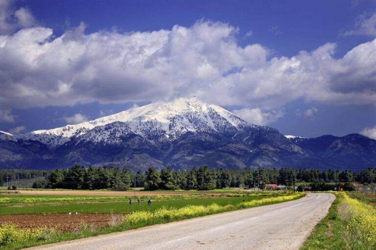 a road leading to a mountain