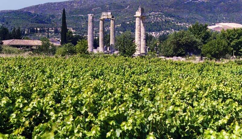 Nemea wine tours