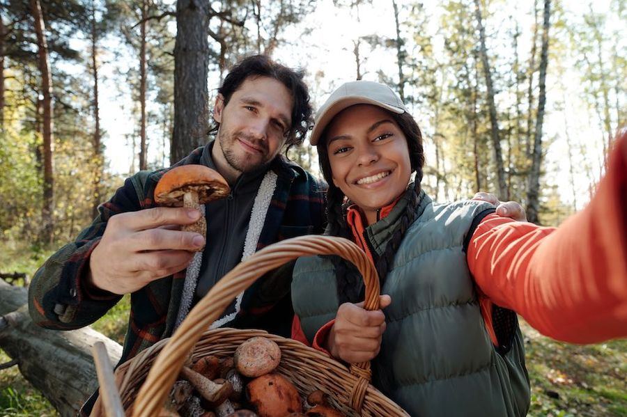 GT - mushroom hunting.jpg