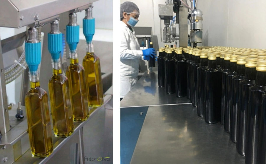 GiIc0sdJ_antonoliva_extra_virgin_olive_oil_tours_visit_olive_press_f2.webp