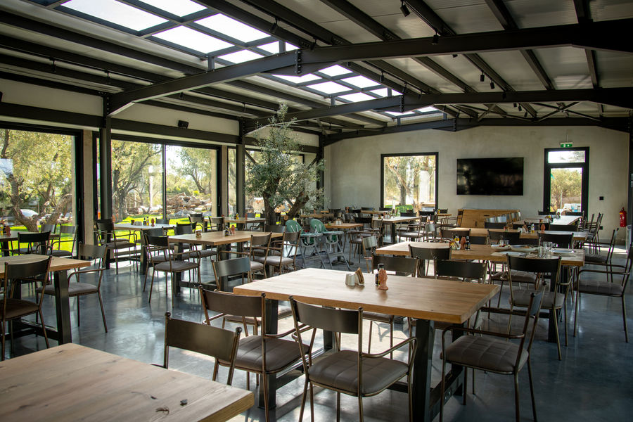 ZJDjdwAF_dirfis_manitaria_09 (1).jpg