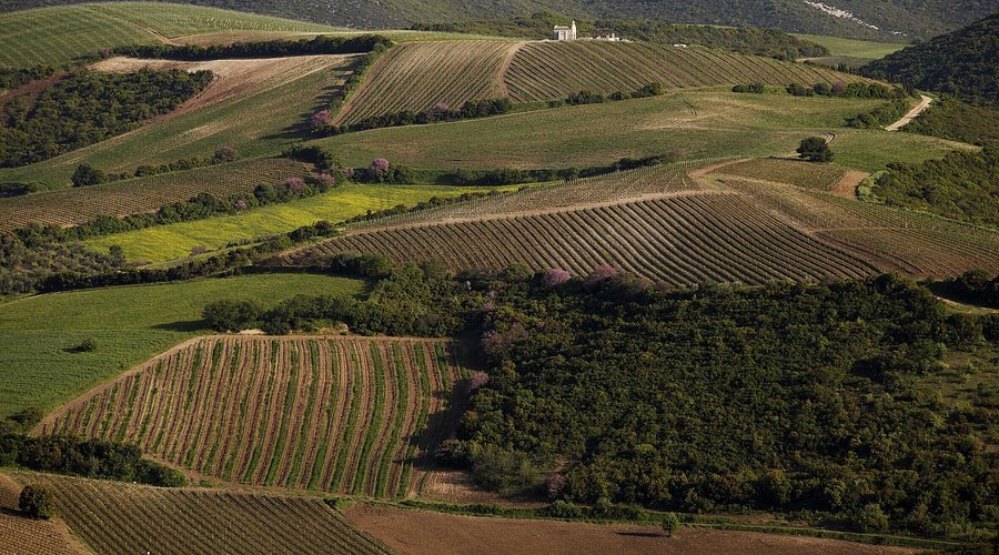 Atalanti - Gastronomy Tours Atalanti