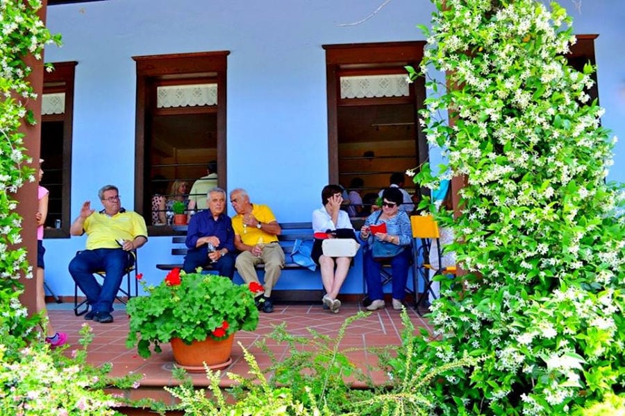 tourists sitting 'Aidarini Winery' outside and green plants in the front