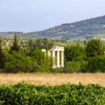 Nemea