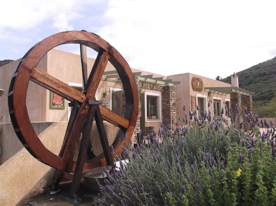 aristaios 1.jpg