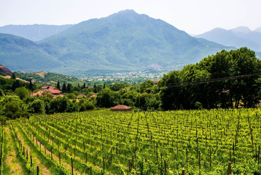 Athens wineries