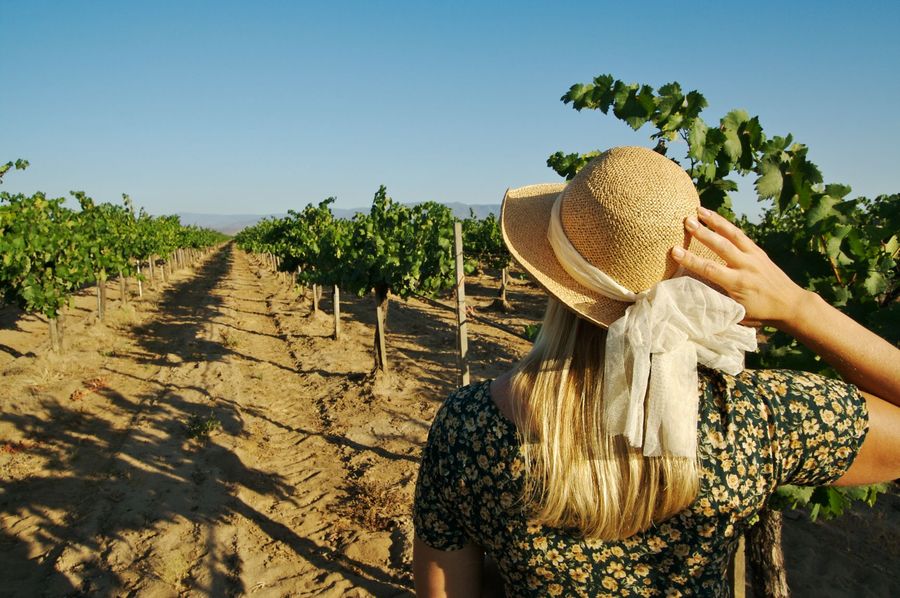 beautiful-woman-strolling-at-a-winery-2022-10-17-01-15-54-utc.jpg