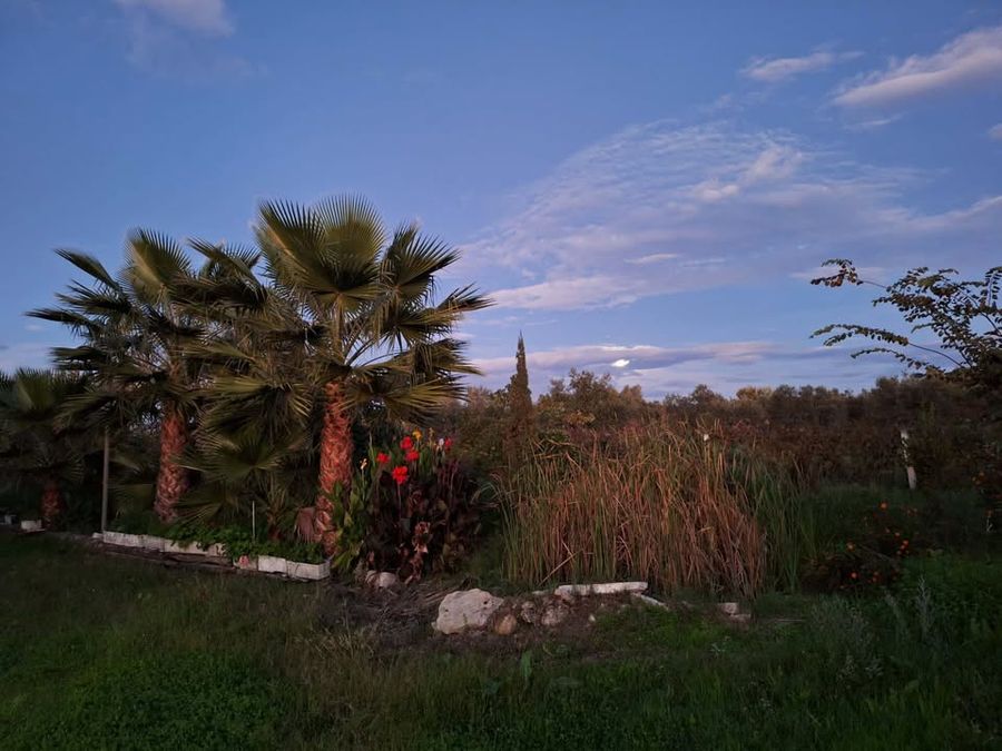 cIAjVsh2_Η ΛΙΜΝΟΥΛΑ ΜΑΣ (1).jpg