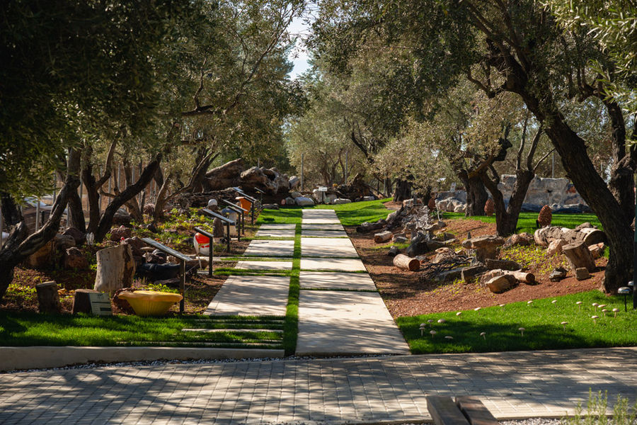 dirfis_manitaria_09 (2).jpg