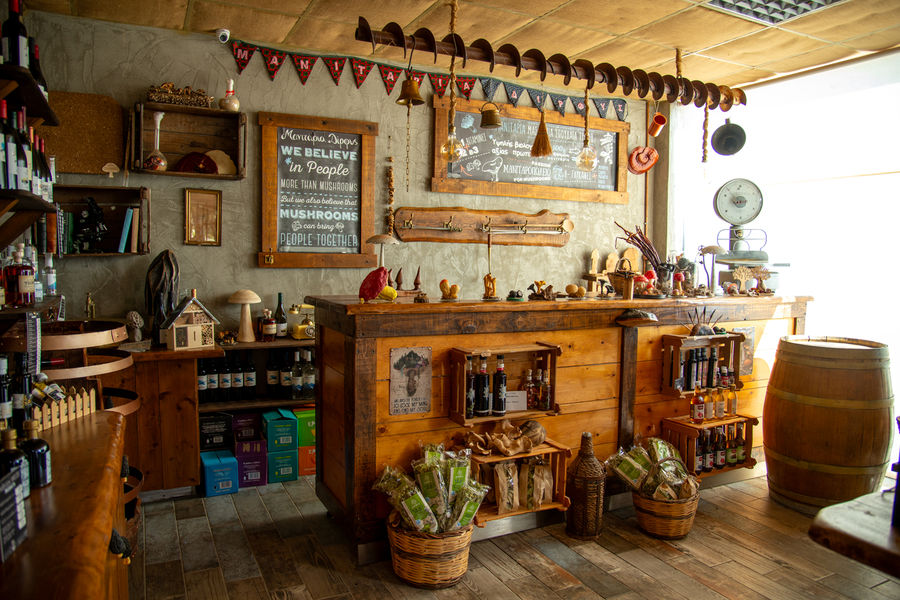 dirfis_manitaria_13 (1).jpg