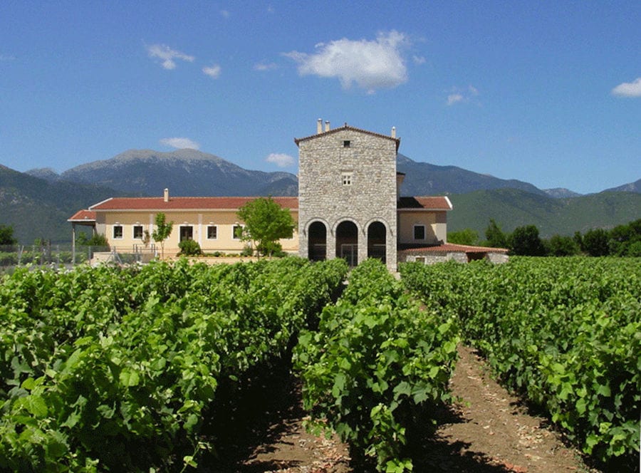 Ktima Spiropoulos building with stone tall tower and rows of vines in the front