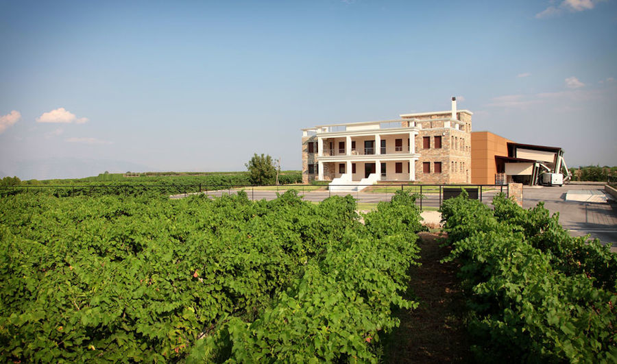 domaine migas 1.jpg