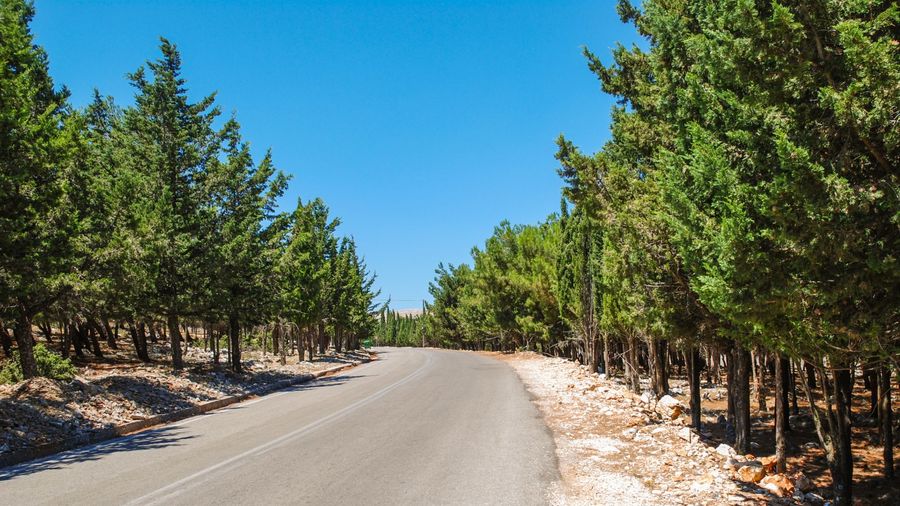 e3a6817b3de1f2c4e1c88f6ca6cc76d2 (1).jpg