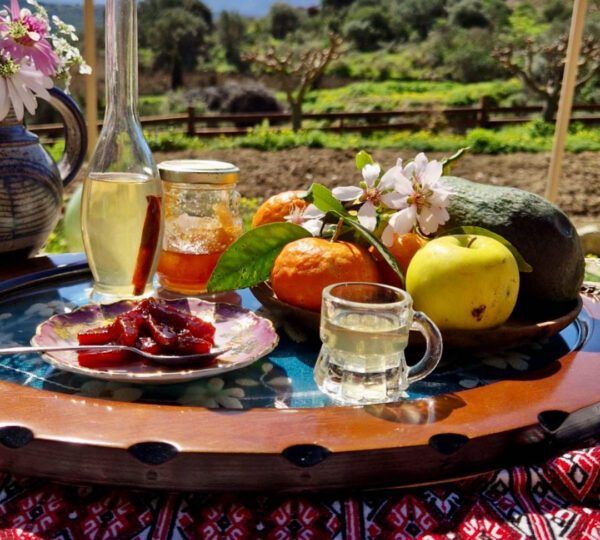 gslzq4n6_veggera-live-the-experience-cooking-class-lessons-stylos-chania-crete-greece-travel-tour-cretan-food-and-wine-8-600x540.jpg