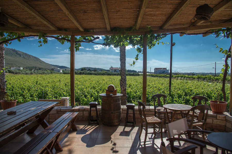 Hatziemmanouil Winery outside with tables with benches and chairs in the background of vineyards