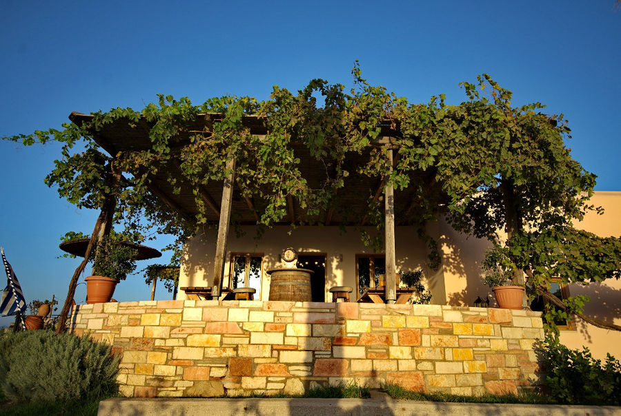 view of Hatziemmanouil Winery terrace coverd with roof and plants