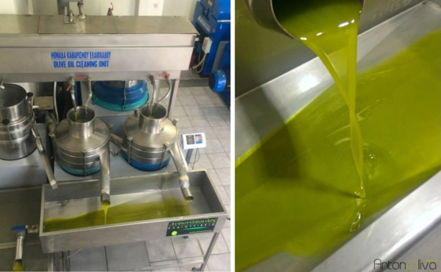 iITY1KX9_antonoliva_extra_virgin_olive_oil_tours_visit_olive_press_f3.webp