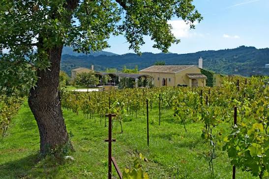 Corfu wine tours
