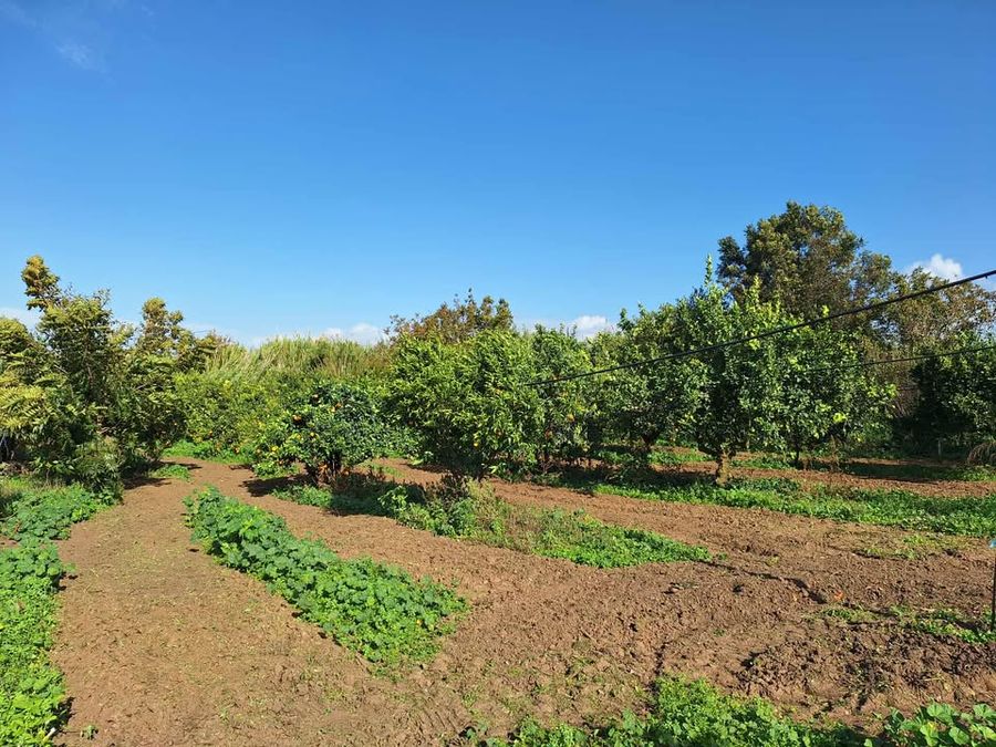 jrQO1xYW_ΤΟ ΠΕΡΙΒΟΛΙ (1).jpg