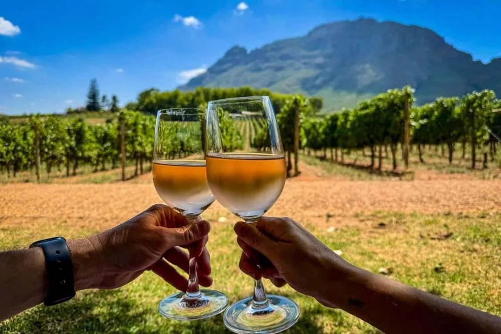 Kefalonia wine tours