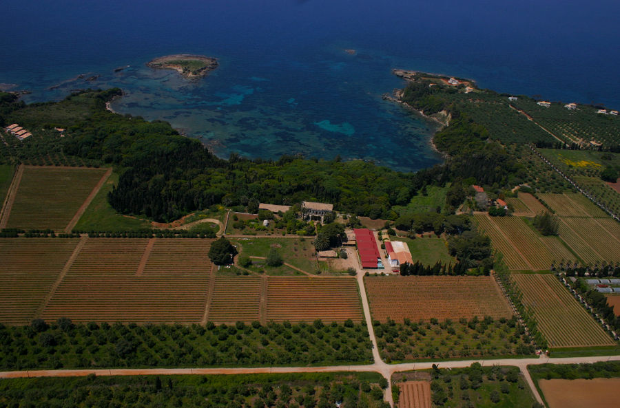 mercouri estate 1.jpg
