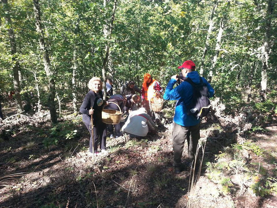 old woman holding a basket and watching the camera and a man taking her photo in forest around Mushrooms Products of Grevena