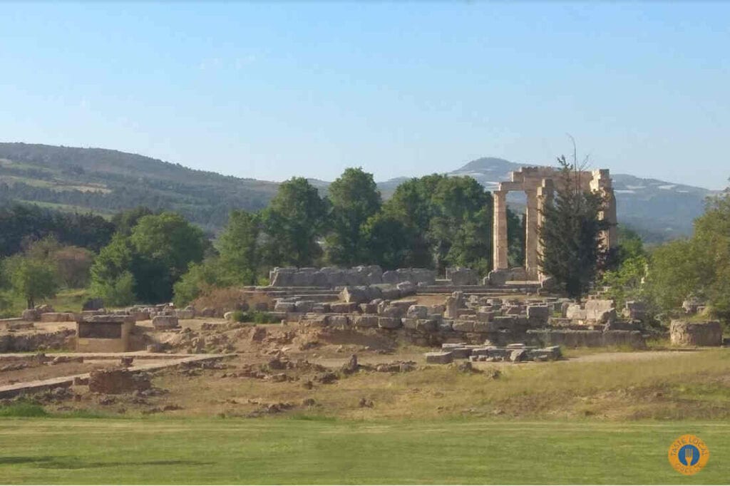 nemea arhaia a orig 1 - Gastronomy Tours