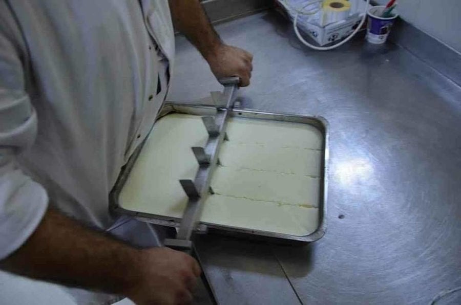 man cutting white cheese at 'Bekas Family Farm' plant
