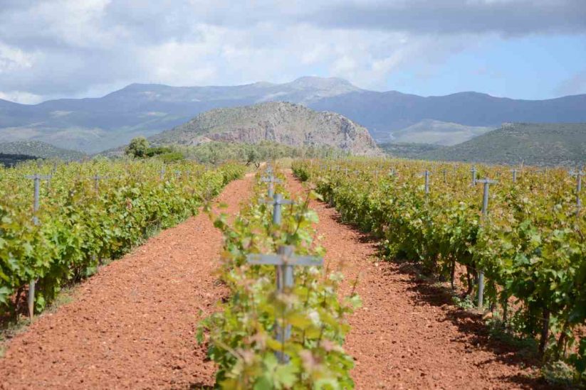 Laconia wine Tourism
