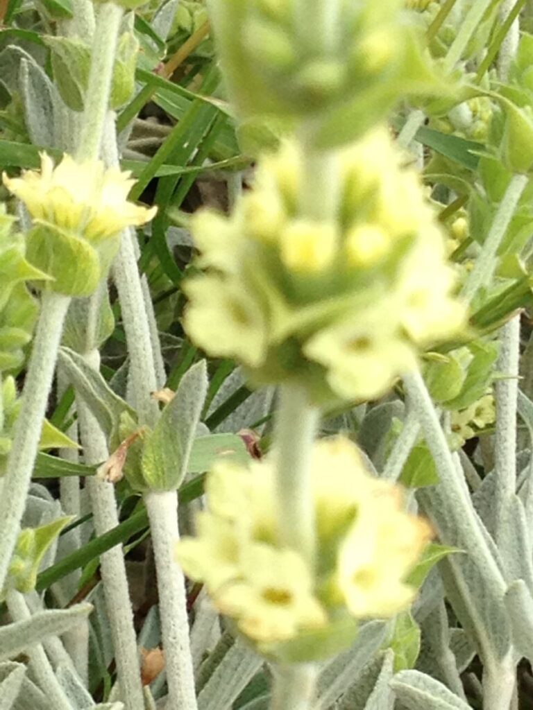 riBjG6MF_εικονες 166.jpg