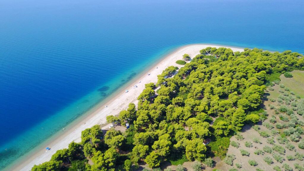 Rovies - Gastronomy Tours rovies evia exwteriki - Gastronomy Tours