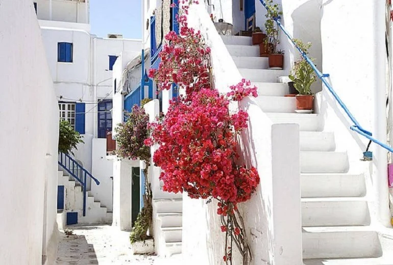 A charming narrow street showcasing white buildings and bright red flowers, offering a delightful and inviting visual experience