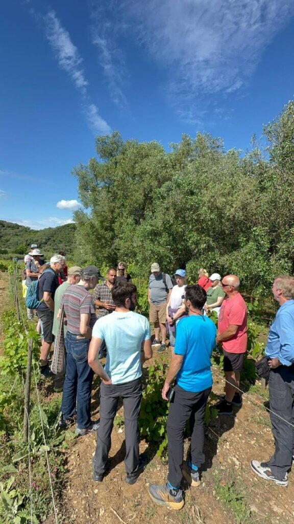 thumbnail (1) (1).jpg