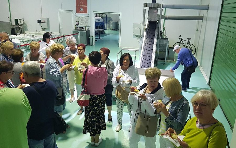 tourists tasting at Melas Epidauros Olive Oil Domain -Gastronomy Tours.jpg