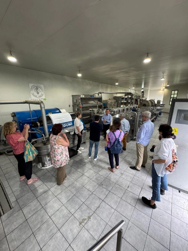 tprmsqdm_antonoliva_extra_virgin_olive_oil_tours_visit_olive_press_f12.webp