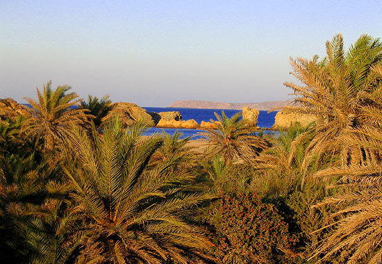 vai-02-550x380-1.jpg