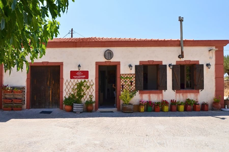 vgFtHG_stilianou winery 9.jpg
