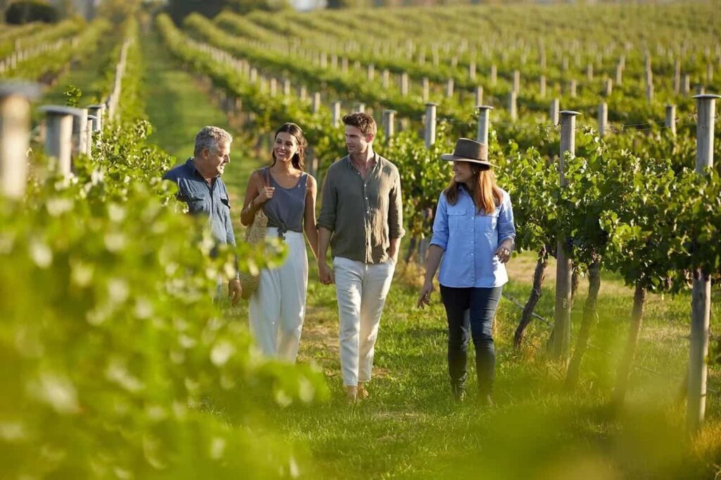 Athens wine tours