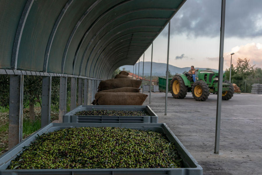 xY7zrTZp_PT-Agropoly-21.jpg